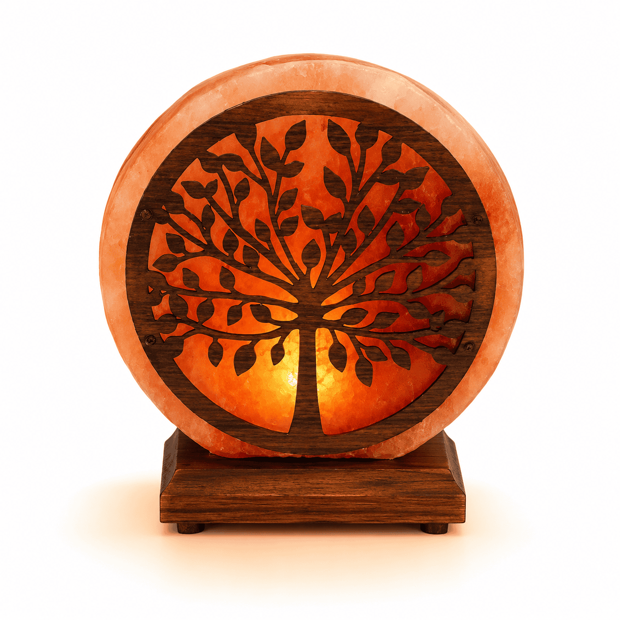 Tree-Carved Wooden Salt Lamp – studio product photo on a plain white background
